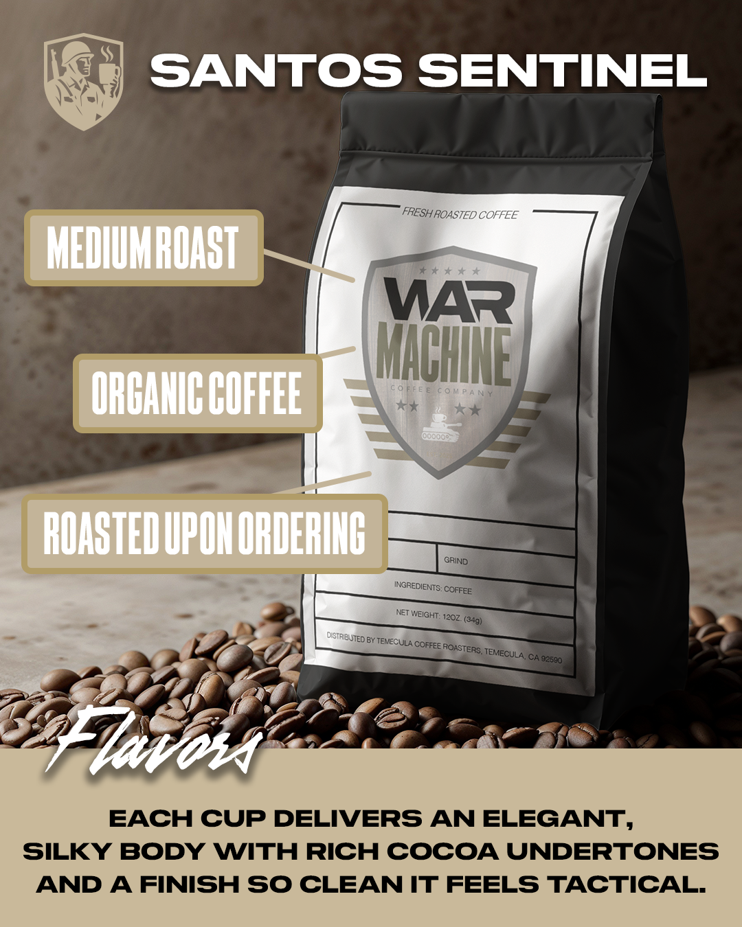 Santos Sentinel - Brazil